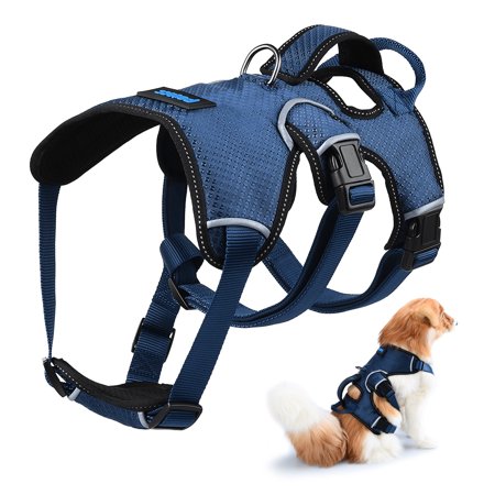 Body harness for dogs